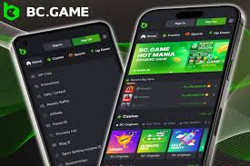 Unleashing the Thrill of Gaming A Comprehensive Guide to BC.Game Casino