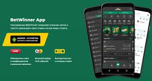 Discover BetWinner Your Ultimate Betting Platform